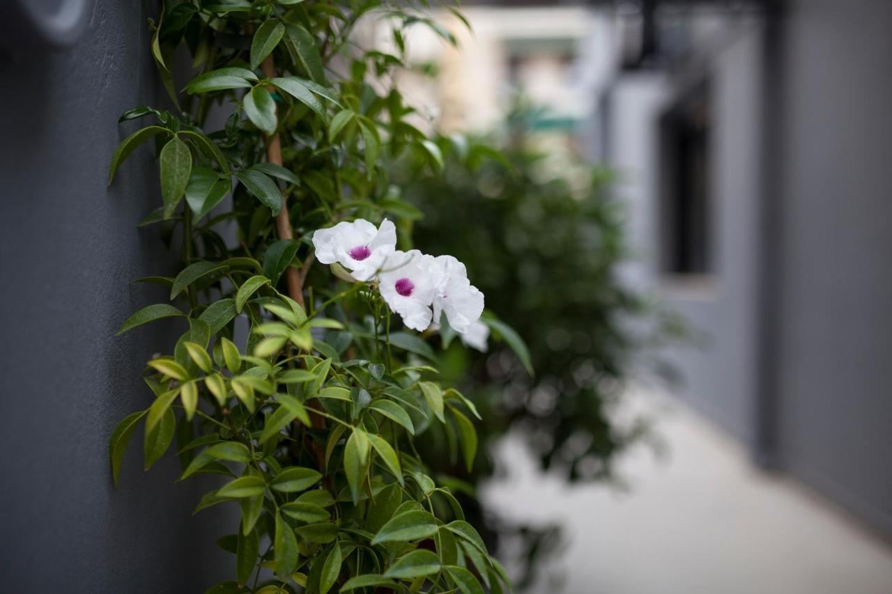Spacious Flat With Courtyard And Private Parking! 雅典 外观 照片